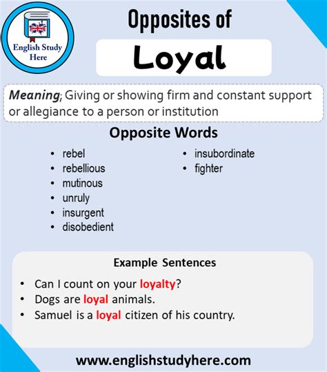 odds opposite|loyalty antonym.